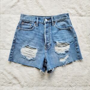Pacsun Ultra High Rise Distressed Vintage Shorts